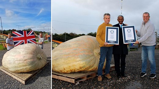 Smashing pumpkin records: British twins first to bring biggest pumpkin title to UK