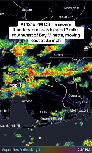 Severe Thunderstorm Warning for Central Baldwin County