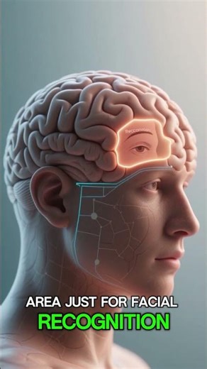 Your Brain Secretly Edits Faces #shorts #psychology #science