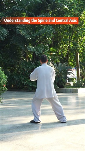 Tai Chi in Slow Motion (Back View) – See the True Movement Path，#TaiChiBackView#TaiChiSlowMotion