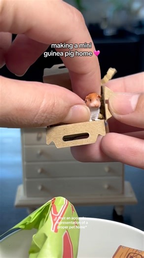 making a mini guinea pig home 🐹 #mini #miniatures #miniverse #guineapigs #miniversemakeitminifood | Lily Collects