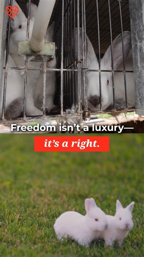 5.1K views · 129 reactions | Every year, hundreds of millions of...