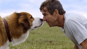 A Dog's Purpose - Trailer