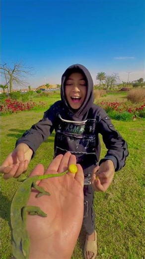 The chameleon scares them greatly🦎😢