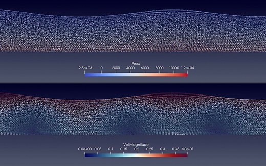 基于DualSPHysics的规则波浪模（SPH方法）