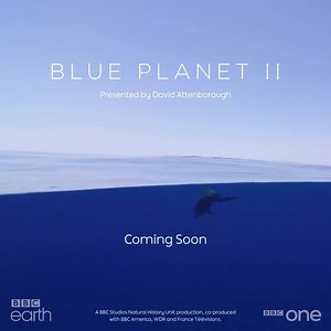 Just announced: #BluePlanet2, presented by David Attenborough. 💙 Coming to BBC One in Autumn 2017. | BBC One
