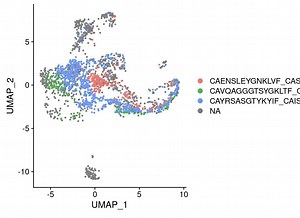 cellranger mutli /count教程单细胞免疫组库分析上游分析-手把手教你