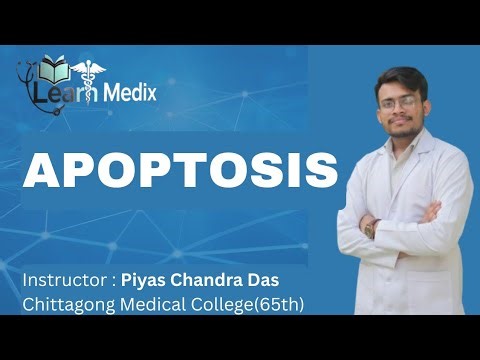 Apoptosis: Programmed Cell Death Explained | General Pathology | learnmedixbd | Medical Lecture