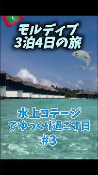 モルディブ旅行🇲🇻海の島でゆっくりくつろぐ🏝🩵#海外旅行#モルディブ#南国#リゾート地