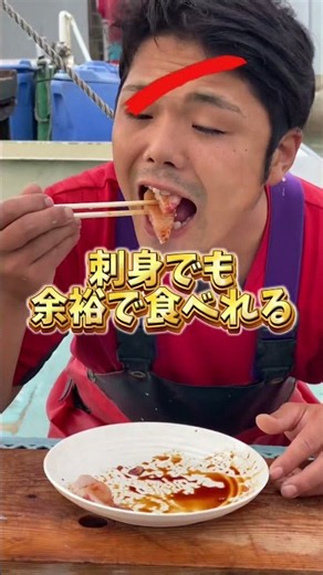 腹こわすまで刺身だけ生活最終回今まで本当にありがとうございました😊これから何しよ？😆※シイラ自体に毒はありませんが生息する場所によってシガテラ毒を持つ小魚を食べてその結果シイラ自