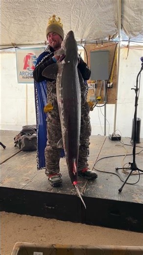 'Sturgeon King' shows off 79-pound dinosaur fish