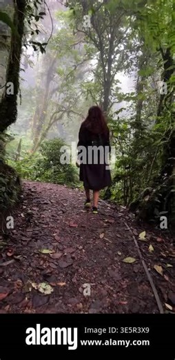 Woman walking on misty trail through Costa Rica cloud forest. Rear view of female hiker with red hair in black raincoat walking along foggy path in Monteverde Stock Video Footage - Alamy