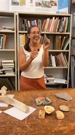 6.1K views · 81 reactions | 秊 Did you find a dinosaur fossil? Our curator of geology is here to talk about some of the most common fossils our visitors bring to the museum for inspection. | Indiana State Museum | Facebook