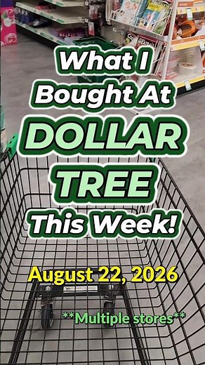 What I Bought at Dollar Tree This Week! Multiple Stores in York, PA! Part 2 - August 22, 2026
