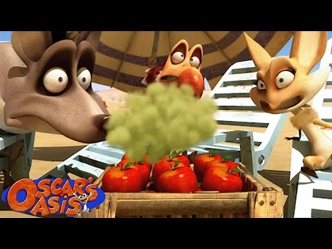 Harchi, Popy and Buck Have a Smelly Problem | Oscar's Oasis Kids Cartoons