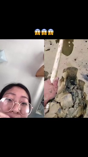 Rescuing a Creamy Mud Fish | Heartwarming Surprise Video