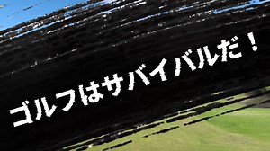 Shot Navi / ショットナビ【公式】 on Instagram: "Shot Navi Nexiaシリーズ WILD EYE🐺 税込￥14.300- ★ 進化した3D計測機能搭載「ボールから離れた場所にいても自分や同伴者のボールやバンカー・クリークのような任意の場所を何度でも複数計測！」 ★ 3種の計測方法「ポイント計測」「ピンシーク計測」「スキャン計測」から状況に応じて使い分けが可能！ Shot Navi Nexiaシリーズは、「高品質なゴルフナビゲーションを、もっと手軽に」という思いから誕生しました。 シンプルながらShot Naviの確かな技術と信頼性を引き継ぎ、低価格で手に取りやすいラインアップを実現。 遊び心あるカモフラージュ柄のデザインでゴルフがさらに楽しめる新しい選択肢をぜひお試しください！ 🎉公式サイトからのご購入で保証期間が 1年→2年 に延長🎉 ご購入はこちらから↓ https://online-shop.shotnavi.jp/view/item/000000000096?category_page_id=nexia-laser #shotnavi