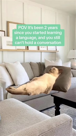 Try Tandem 😏 just sayin #Meme #MemeCut #languagelearning #learnenglish #learngerman #learnfrench #learnspanish #languageexchange #languages #polyglot With Tandem, learning languages goes beyond textbooks. Engage in real conversations, immerse yourself in the culture, and watch your fluency grow.