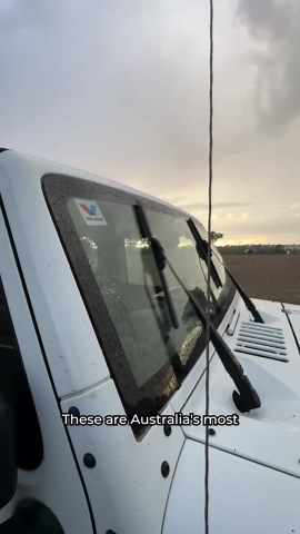 Wiper blades squeaking & smearing?