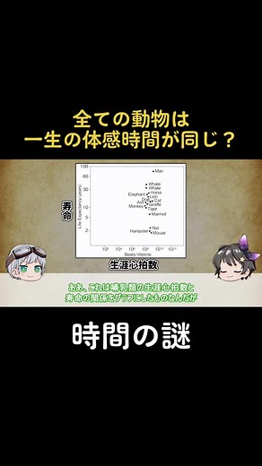 人間とは異なる時間を生きる生物たち-なぜハエを叩くのは難しいのか-【ゆっくり解説】