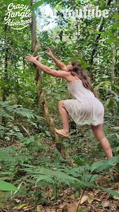 Climbing High into the Jungle Canopy #JungleLife #WildAdventure #CanopyClimb | crazyjungleadventuresusa