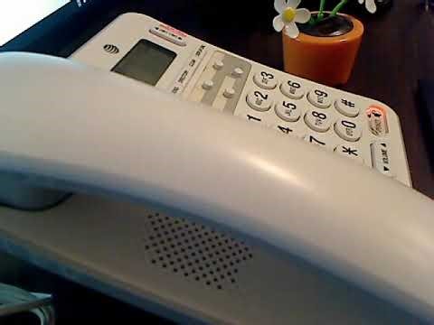 World's Most Private Voice Assistant meets ChatGPT