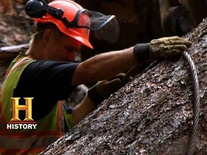 Ax Men: Triack Rescues a Pricey Log (S8, E10) | History