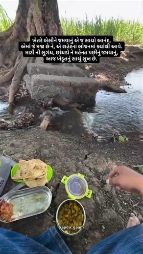 બાપા સીતારામ મારા વાલા ફોલ્લો શેર અને લાઈક કરો