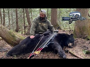 NEW BRUNSWICK BEAR WITH A RECURVE - Traditional Bowhunting - The Push Archery - Season 3 Episode 18