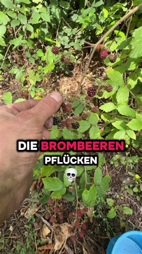 Learn German with Humor: Funny German Vocabulary