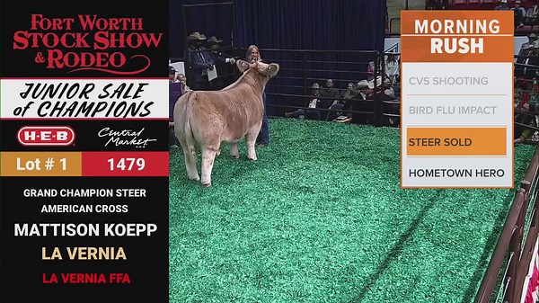 The 2025 Fort Worth Stock Show Grand Champion steer has sold! Here's how much it sold for