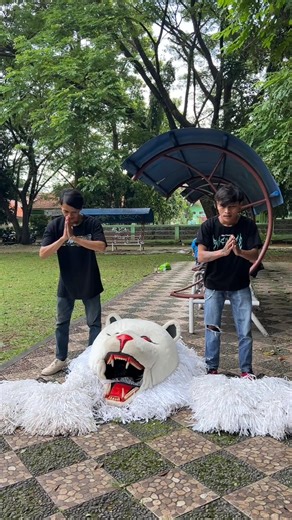 cara memakai costum can macanan terbaru