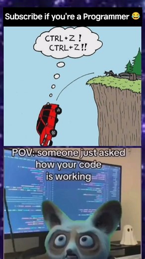 Software Engineer 🥹🥺||programming memes || coding memes #programming #developer #coding #memes #ai