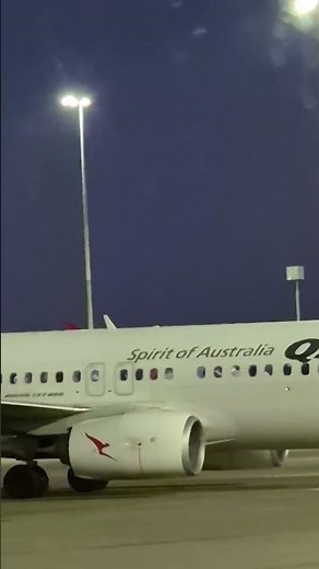 Boeing 737 800 added with Split Scimitar winglets