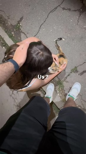 @iluv.t3 on Instagram: "Us🥰🎀 #catlove #catlove #cateye #kittykitty #kittens #catslife #cateye #kitten #cat #lovers #lovely #loveu #loveu #explore #viral #boys #boyfriend #girlfriend #girly #iloveyou"