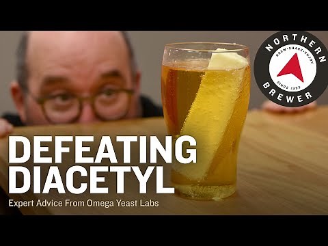 Defeating Diacetyl | Expert Advice from Omega Yeast Labs