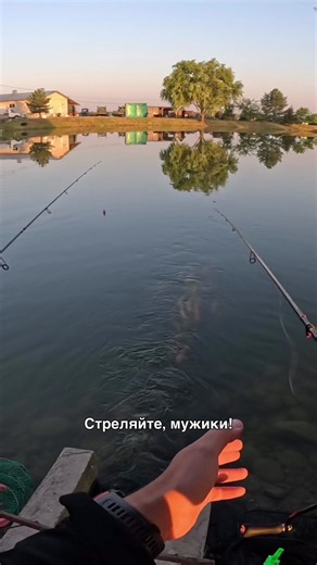 Открытие сезона началось именно так! 🎣🔥 Первая поклёвка — и сразу золотая форель! 🏆✨ Ну что, сезон обещает быть жарким? 😏 #форель #золотаяфорель #рыбалка #открытиесезона #прудоваяфорель