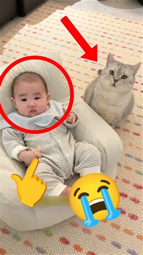 She Made Slippers From Cat Fur… Then Made One More Surprise 🐱