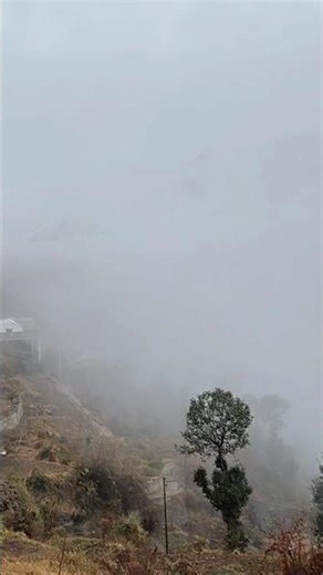 #Auli joshimath#uttrakhand#