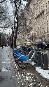 New York City, Central Park area 5th Avenue | New York Daily Vlogs