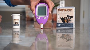 Watch PetSure! Test Strips 60ct - Blood Glucose Testing for Cats and Dogs - Works with AlphaTrak and Al... on Amazon Live