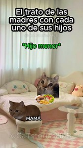 2.6M views · 97K reactions | El trato de las madres con sus hijos #gatosgraciosos #funnyvideos #gatitoslindos #gatosmemes | CaT stories HuB | Facebook