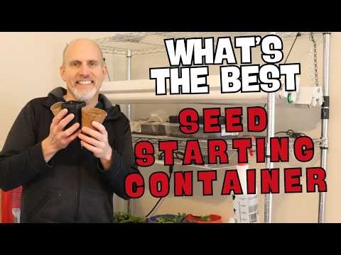 Which Seed Starting Containers Should You Use