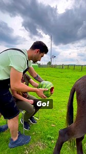 1.7M views · 1.9K reactions | What if your imagination comes true? #comedy #joke #funny #memes #pranks #humor #trending #reels #explorepage | Vessbroz | Facebook