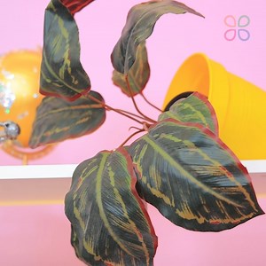 16K views · 140 reactions | Short Hair vs Long Hair Problems in College! | Troom Troom | Facebook