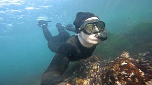 Snorkeling, Diving, Fun. Free Stock Video
