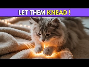 Don’t Stop Your Cat from Making Biscuits — Here’s Why