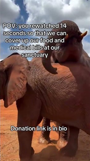 You scratch my back, I’ll scratch yours! These girls have polar opposite personalities, but they get