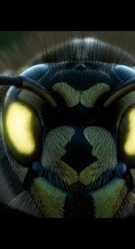 This Creepy Insect Can Literally Control Your Mind #CreepyFacts #CreepyStory #ScaryFacts
