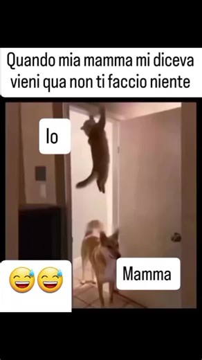 Video di lupo solitario (@lupo.solitario985) con X-Files Main Theme (From